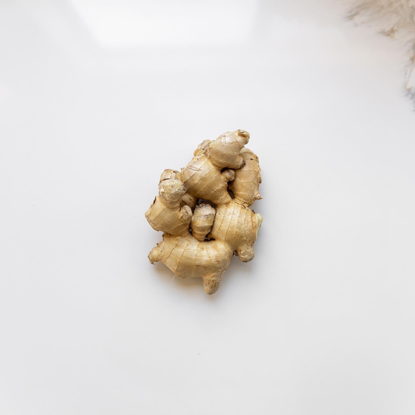 An ingredient is a substance that forms part of a mixture. Each ingredient of our bone broth is slowly simmered to maximize the benefit of each compound. 
Ginger plays a big role in our broth. 
Gingerol is the main bioactive compound in ginger. It&