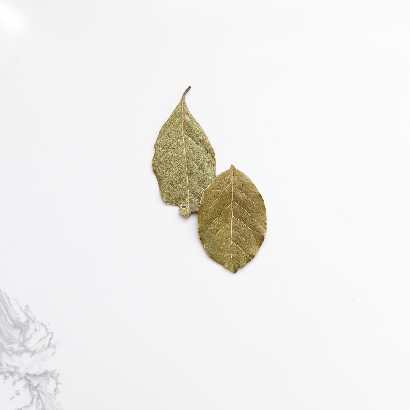 Bay leaves add a fun and complex flavor to dishes, and are a key staple in many soups and sauces.
"Bay leaf" is a small leaf from the sweet bay tree. The scientific name of this tree is the Laurus nobilis.
Nutritional and pharmaceutical r